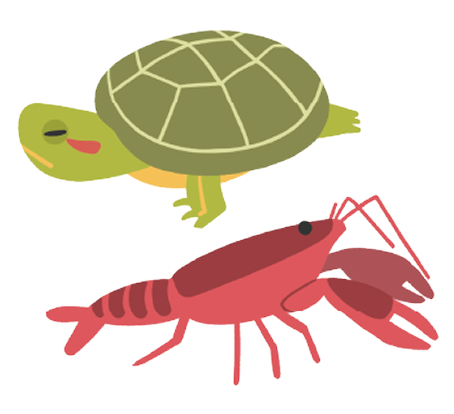 外来種を放さない