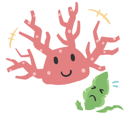 東京湾の生態系の変化