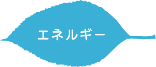 エネルギー