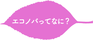 エコノバって何？