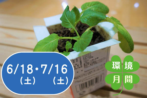 【環境月間2022】親子で挑戦　農薬を使わない野菜づくり～牛乳パックで育てる小さな野菜～(2日制)