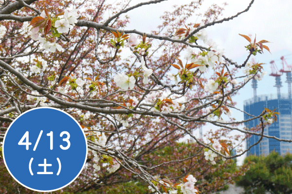 春の自然観察会