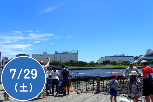 川のいきもの観察会