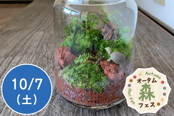 【オータム森フェス2023】親子で「苔テラリウム」をつくってみよう！