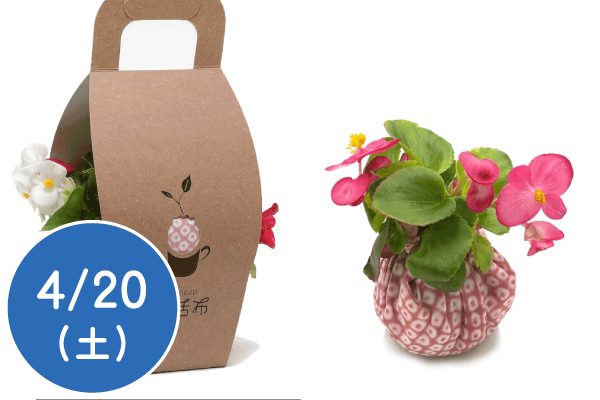 親子で花活布(はなかっぷ)づくり～お部屋で育てる小さなお花～