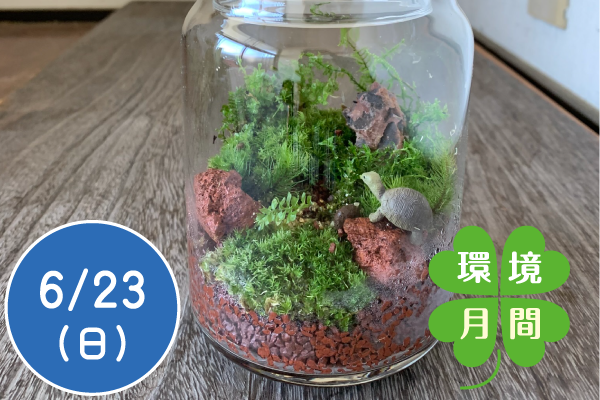 【環境月間2024】親子で「苔テラリウム」をつくってみよう！