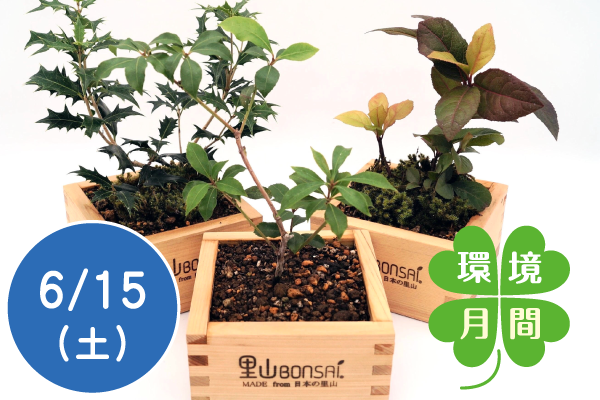 【環境月間2024】里山BONSAIワークショップ