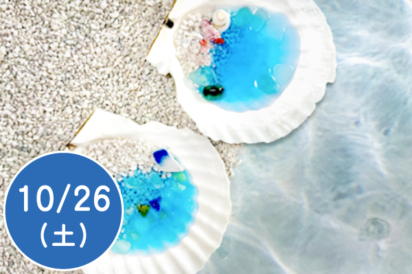 ホタテの貝殻で海の世界を作ろう！