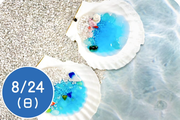 ホタテの貝殻で海の世界を作ろう！