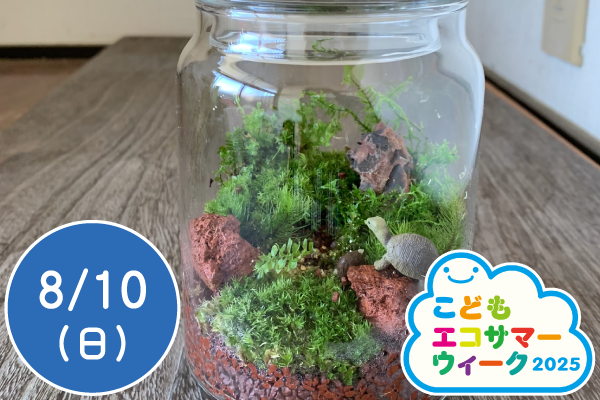 【こどもエコサマーウィーク2025】親子で苔テラリウム作りに挑戦