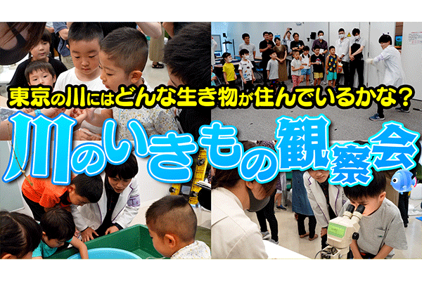【生態調査】東京ど真ん中の川にはどんないきものが住んでいるのか