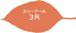 3R