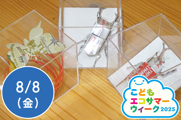 【こどもエコサマーウィーク2025】アルミ缶リサイクルのお話～アルミ缶で昆虫を作ろう～
