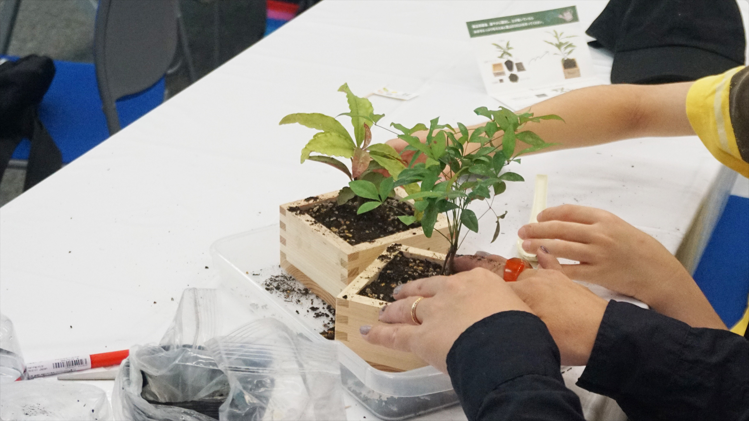 中央区立環境情報センター「エコノバ」トップページ画像