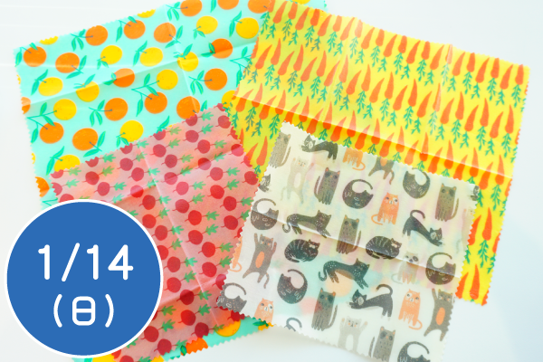 みつろうラップづくり体験とカナダのエコグッズ紹介(2023)