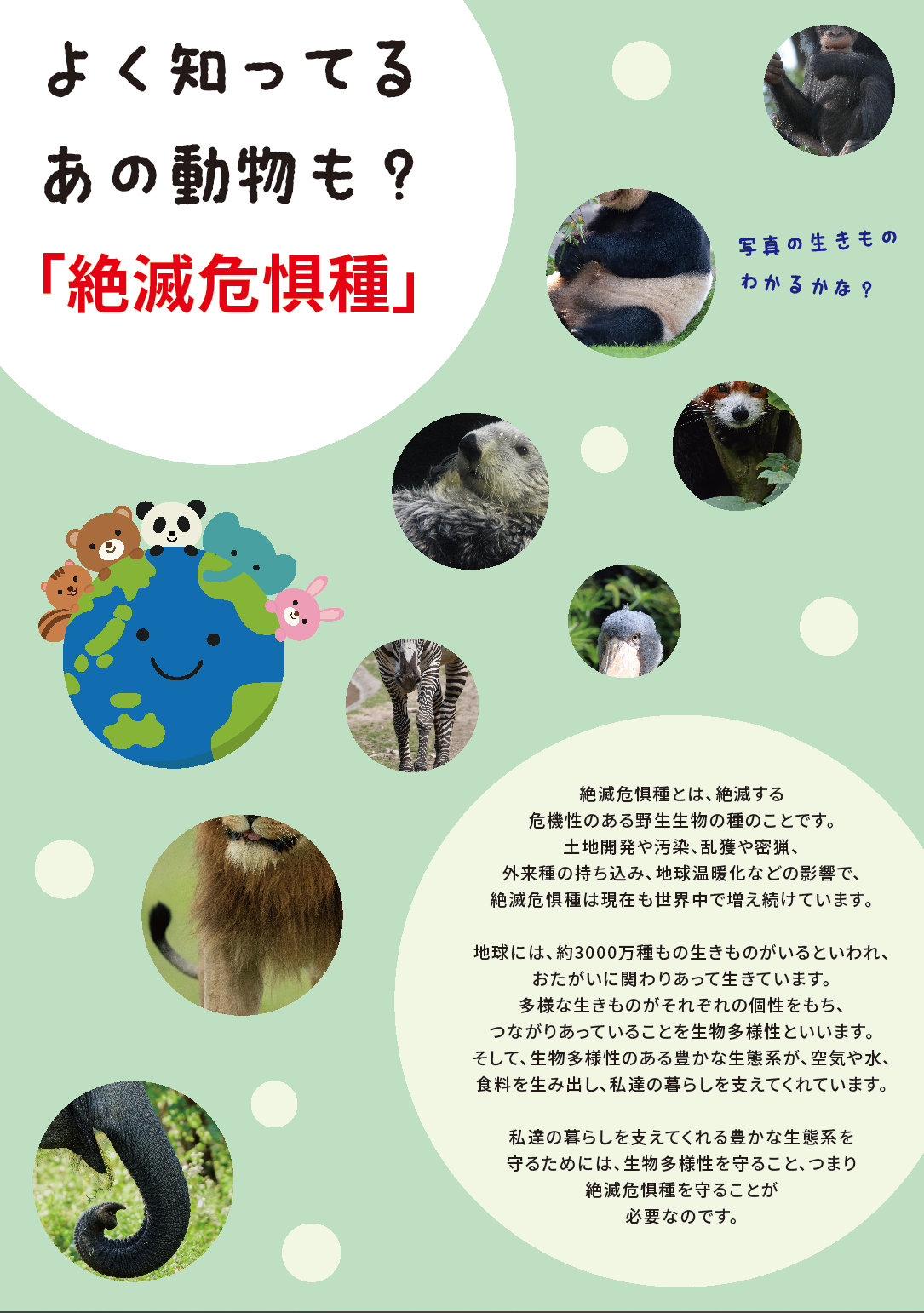 【展示】絶滅危惧種の動物展