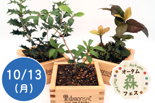 【オータム森フェス2025】里山BONSAIワークショップ