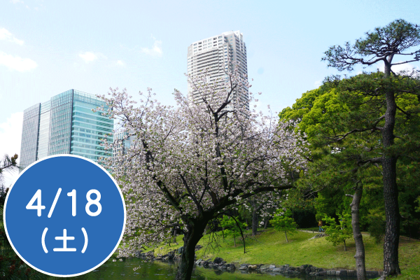 春の自然観察会