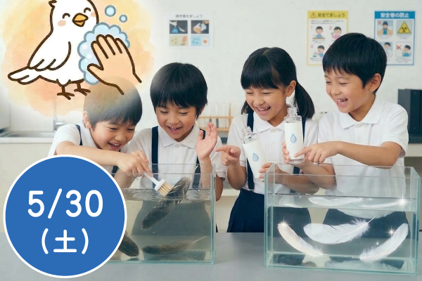 真っ黒な油まみれの鳥を救え！洗剤で汚れを落とすレスキュー実験