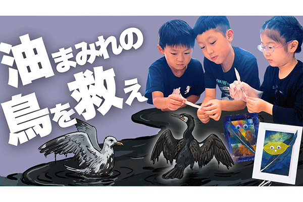 真っ黒な油まみれの鳥を救え！洗剤で汚れを落とすレスキュー実験