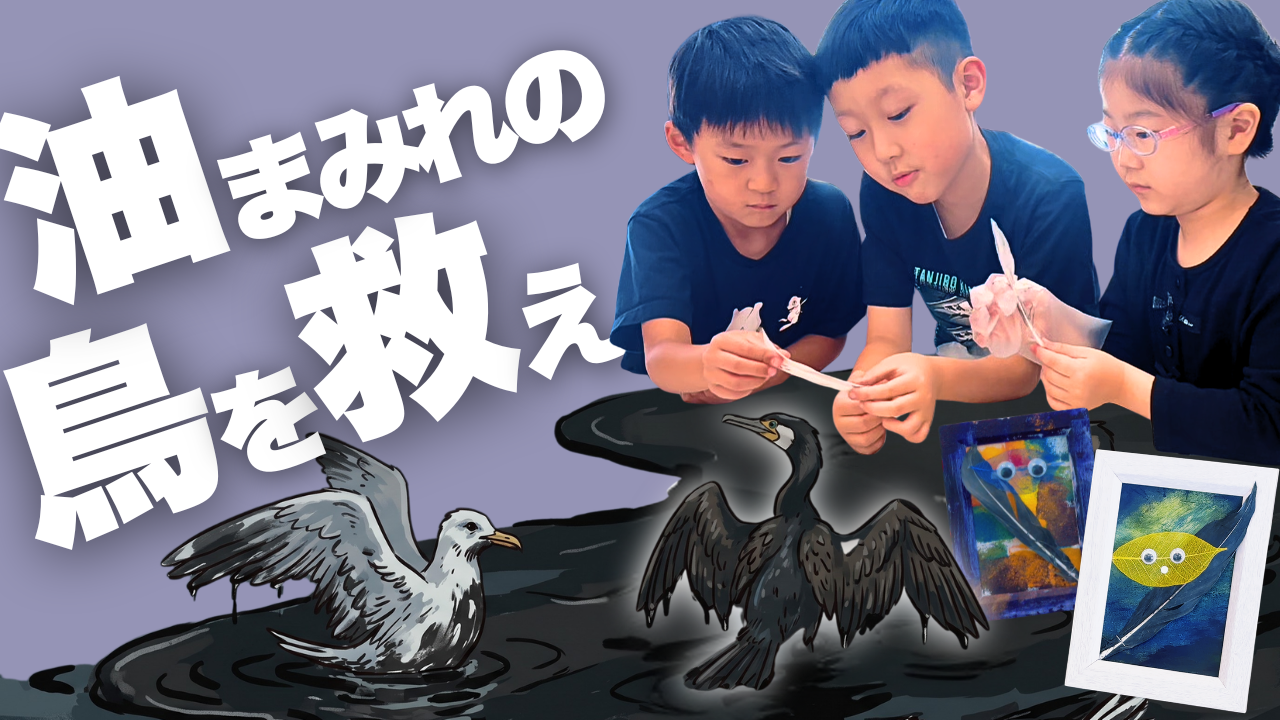 真っ黒な油まみれの鳥を救え！洗剤で汚れを落とすレスキュー実験